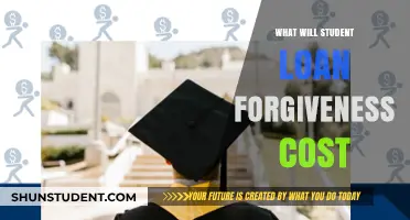 The Economic Impact of Student Loan Forgiveness: Costs and Consequences