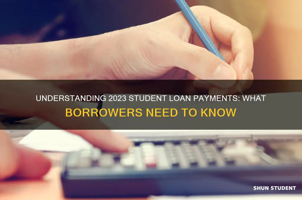 what will student loan payments be for 21738