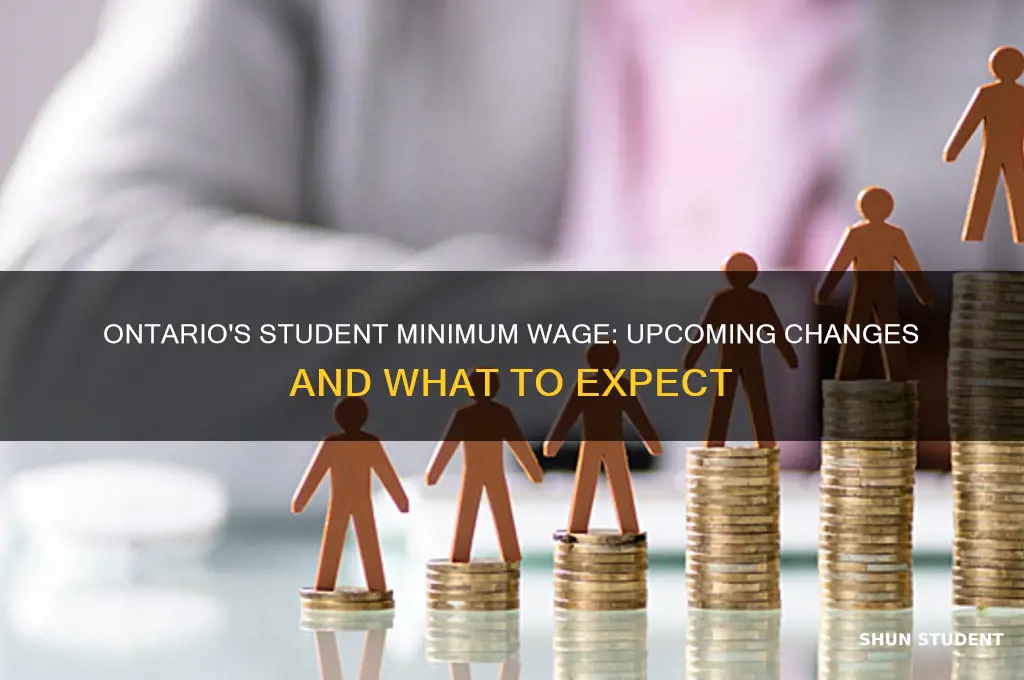 what will student minimum wage be in ontario