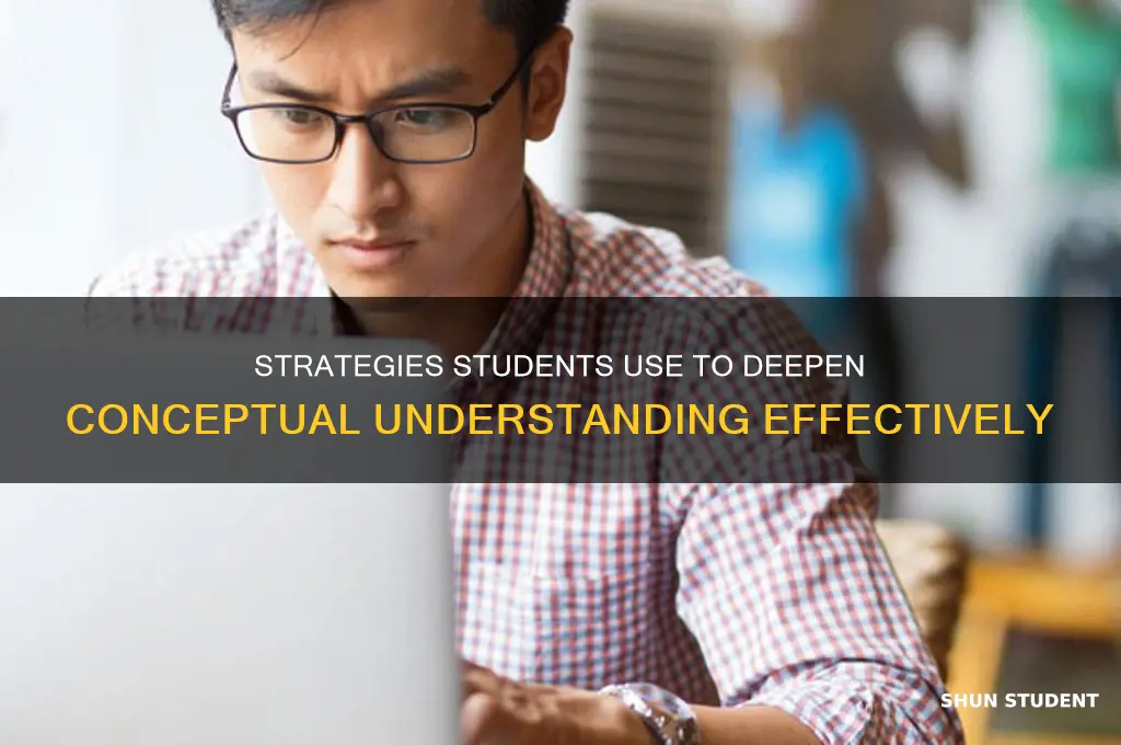 what will students do to build understanding of the concept