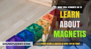 Exploring Magnetism: Creative Learning Strategies for Curious Students