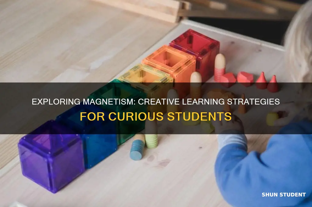 what will students do to learn about magnetism