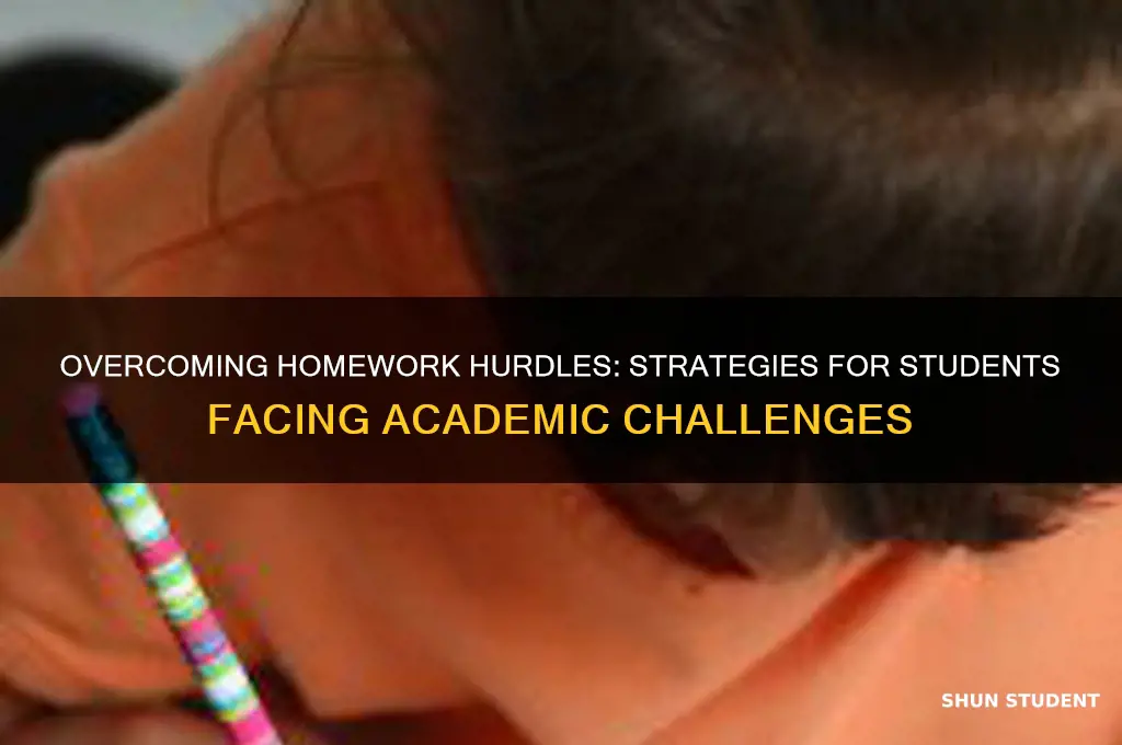 what will students do when they find difficulty hw