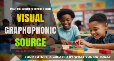 Exploring Visual Graphophonic Sources: Engaging Student Learning Strategies