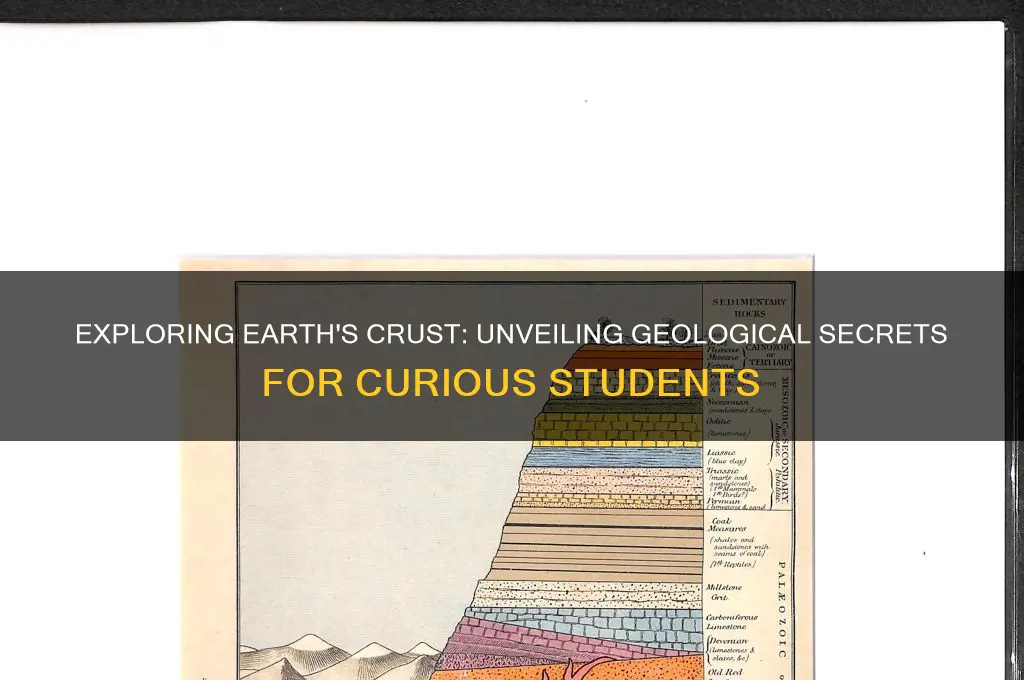 what will students learn by looking at the earth