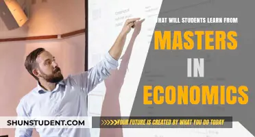 Mastering Economics: Key Skills and Insights Gained from a Master’s Program