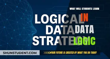 Mastering Data Logic: Essential Skills and Concepts for Students