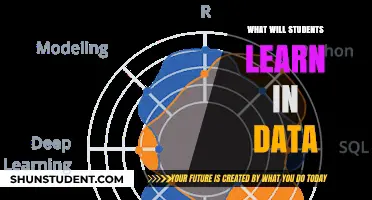 Exploring Data Science: Key Skills and Knowledge Students Will Master