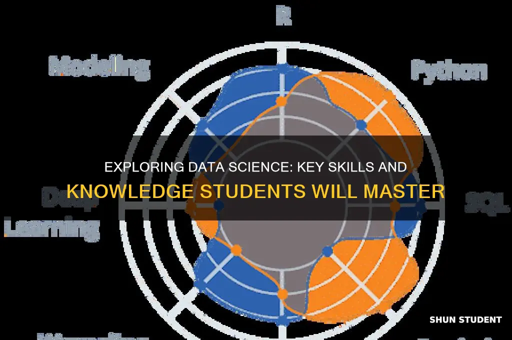 what will students learn in data