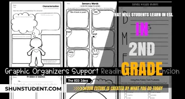 Exploring ESL in 2nd Grade: Skills, Vocabulary, and Language Growth