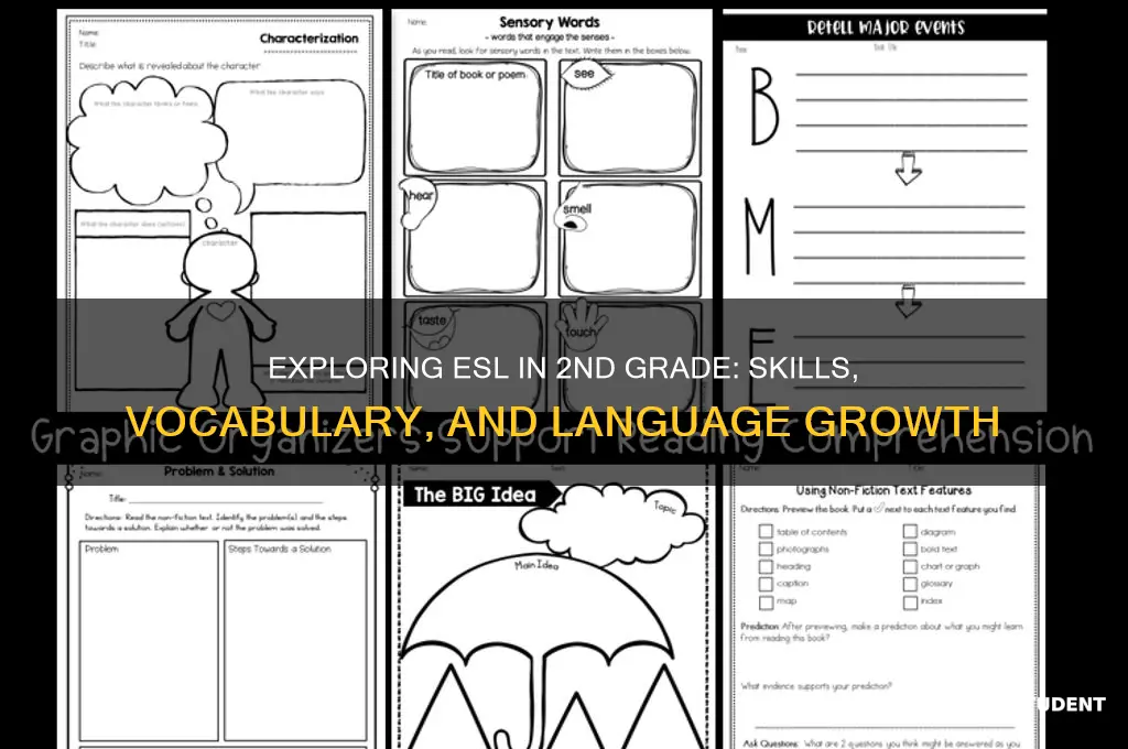 what will students learn in esl in 2nd grade