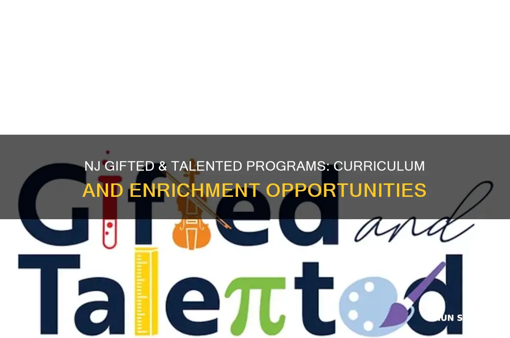 what will teach in gifted and talented students nj