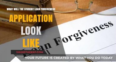 Understanding the Student Loan Forgiveness Application Process: What to Expect