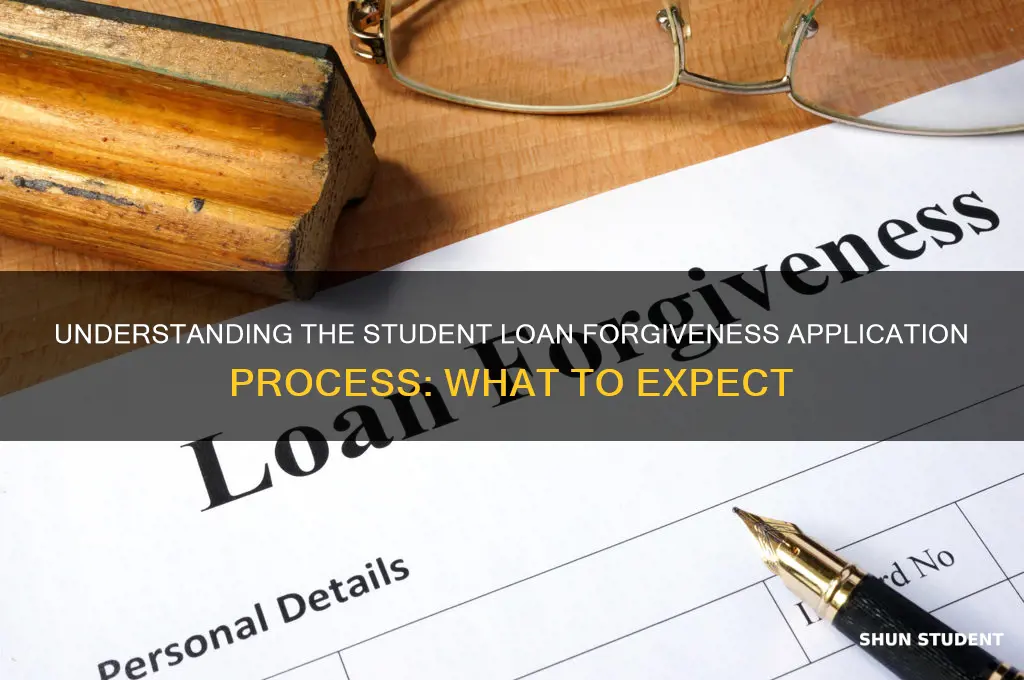 what will the student loan forgiveness application look like