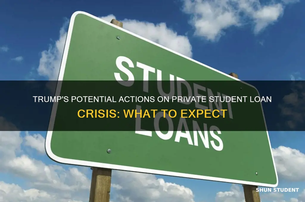 what will trump do about private student loans