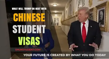 Trump's Next Move: Chinese Student Visas Under Scrutiny