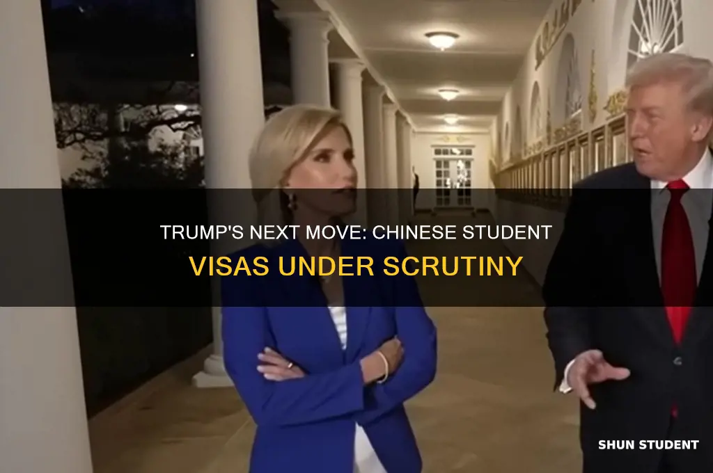 what will trump do next with chinese student visas