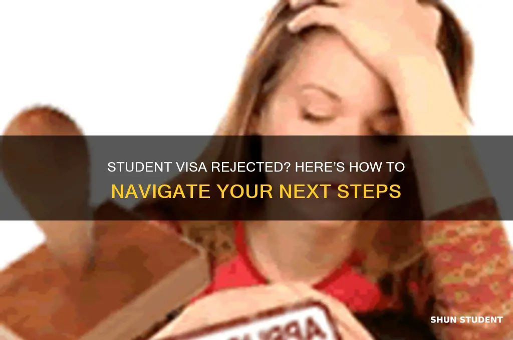 what will you do if your student visa is rejected