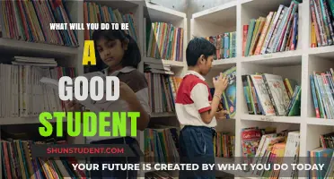 Mastering Success: Essential Habits to Become a Good Student