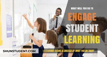 Innovative Strategies to Spark Curiosity and Engage Student Learning