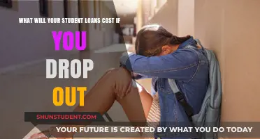 Dropping Out: The Hidden Costs of Unfinished Student Loans