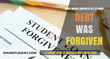Student Debt Forgiveness: Economic Impact and Societal Transformation Explored