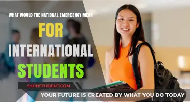 Impact of a National Emergency on International Students