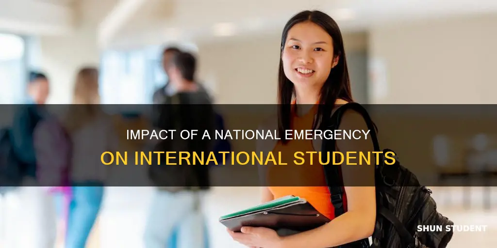 what would the national emergency mean for international students