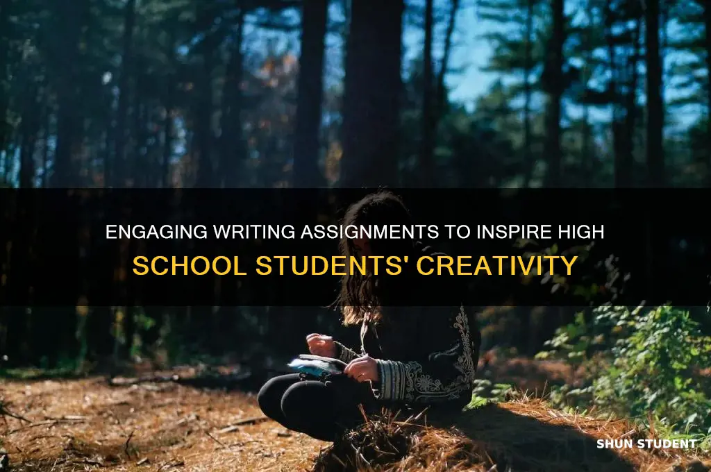 what writing assignment to teach highschool student