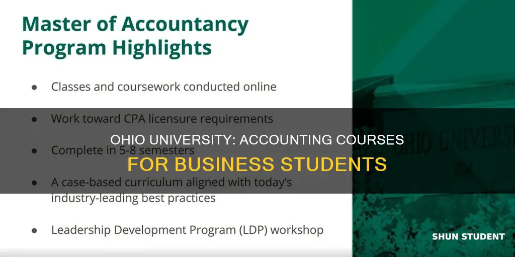 what year do ohio university business students take accounting