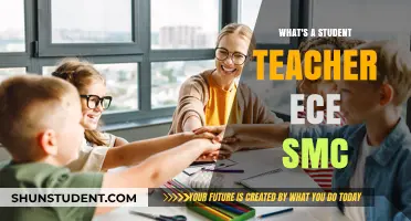 Understanding the Role of a Student Teacher in ECE SMC
