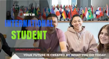 International Students: Who Are They?