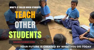 Peer Learning: Empowering Students to Teach and Learn Together