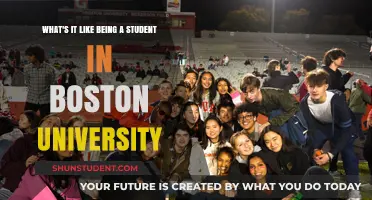 Exploring Student Life at Boston University