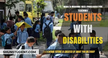 Bridging Gaps: Essential Practices for Inclusive Disability Education