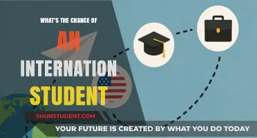 International Student Success: What Are the Chances?