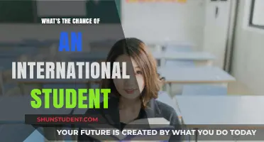 International Student Success: Strategies for Overcoming the Odds