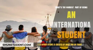 Navigating Challenges: International Students' Hardest Parts