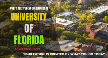 UF Student Numbers: A Comprehensive Enrollment Overview