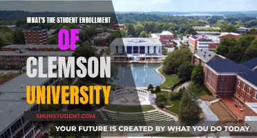 Clemson University's Student Population: A Comprehensive Overview