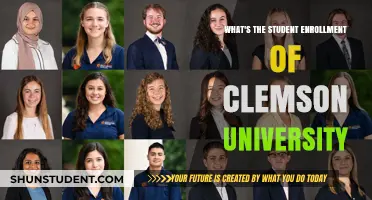 Exploring Clemson University's Student Enrollment Figures