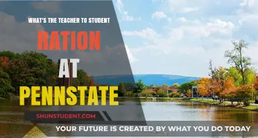 Penn State's Teacher-Student Ratio: What You Need to Know