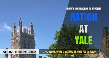 Yale's Teacher-Student Ratio: Uncovering the Numbers Behind the Ivy League