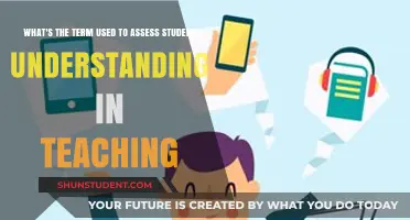 Assessing Student Understanding: Key Terms and Strategies in Teaching