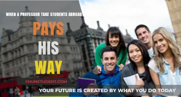 Who Pays for Professors on International Student Trips?