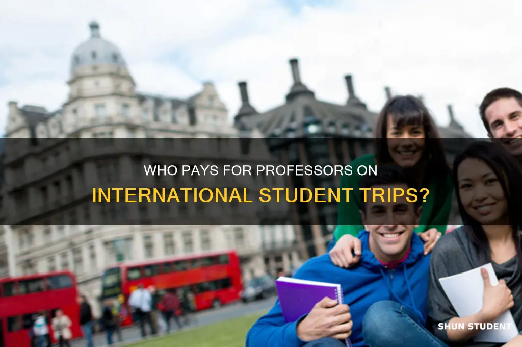 when a professor take students abroad who pays his way