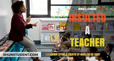When Respect Fades: A Student's Insult and Its Aftermath