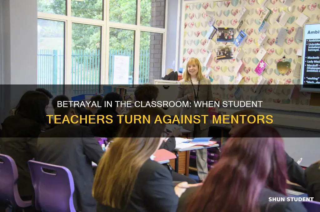when a student teacher backstabs a mentor teacher