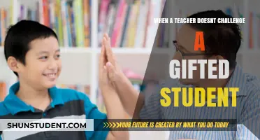 Unleashing Potential: The Impact of Understimulating Gifted Students in Classrooms