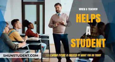 Empowering Minds: The Transformative Impact of Teacher Support on Students